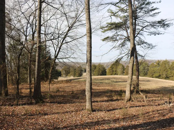 LOT 2 Highway 39w, Athens, TN 37303