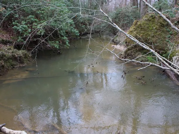 210 Sparrow Dr, Trenton, GA 30752