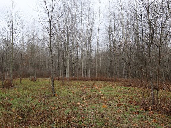 3rd image of County Road 681