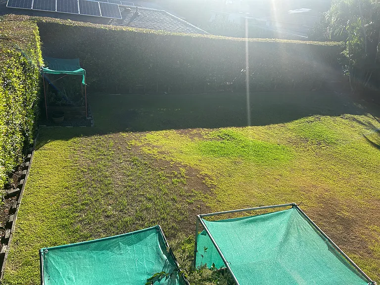 Spacious gated yard