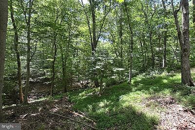 1st image of 9557 Bell Dr