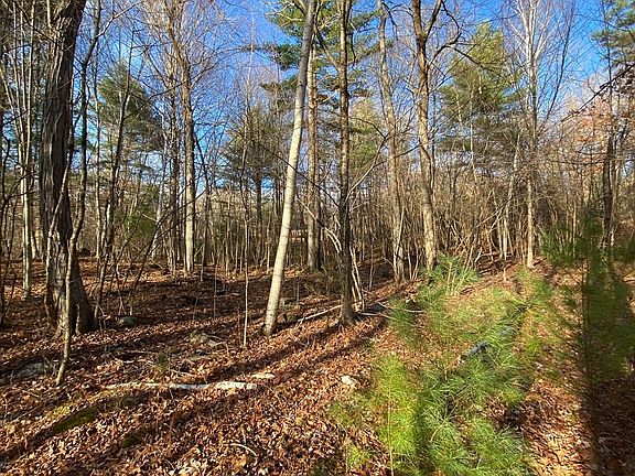 3rd image of LOT Brimfield Rd #B