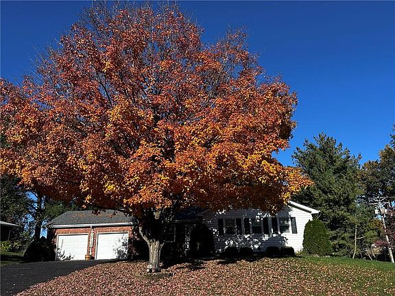 2nd image of 1634 High Dr