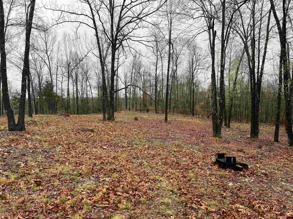 439 Wandas Mountain Dr, Yellville, AR 72687