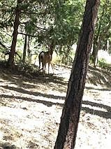 2nd image of 249 Oakwood
