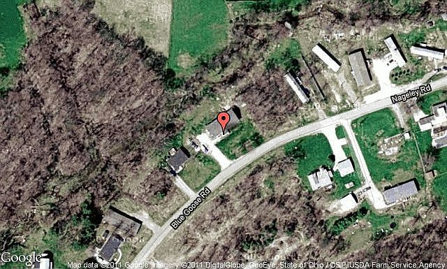 Map View