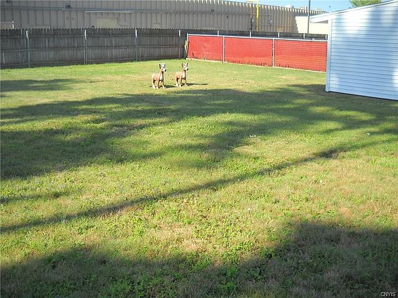 3rd image of 107 Valentine Dr