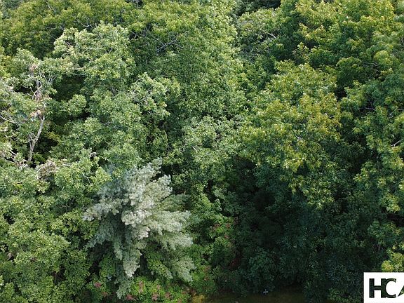 4th image of 47 Waddle Branch Road