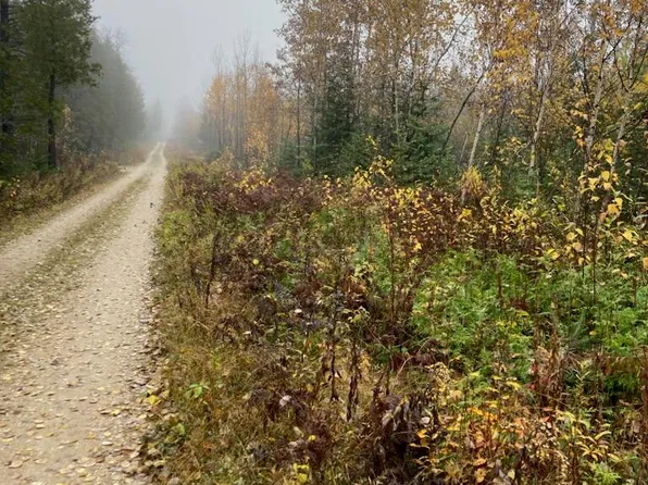 0 E Old North Rd, De Tour Village, MI 49725