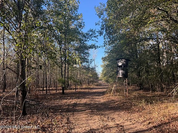 2nd image of County Road 524