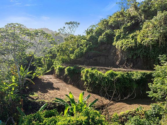 4th image of 0 Carr #411