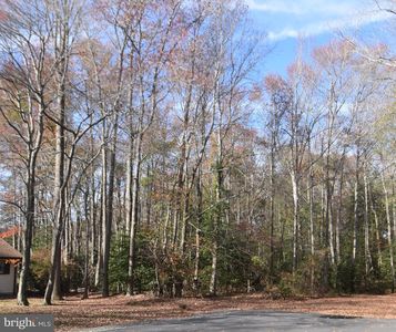 LOT 4 Norma Lee Ct, Dagsboro, DE, 19939