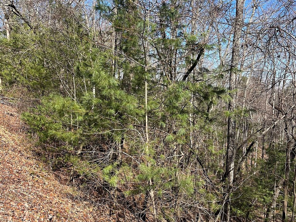 2nd image of 0 Eastman Mountain Rd