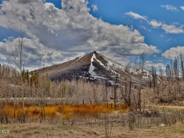 287 GCR 413, Grand Lake, CO 80447