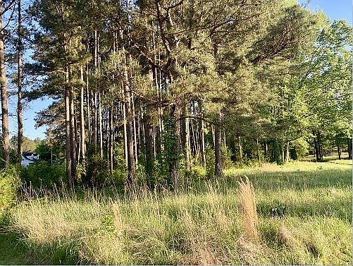 2nd image of 1920 Hunt Rd SE