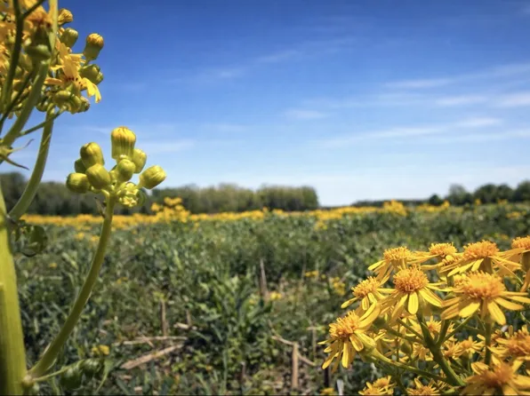 0 Valley Rd, Lawrenceburg, TN 38464