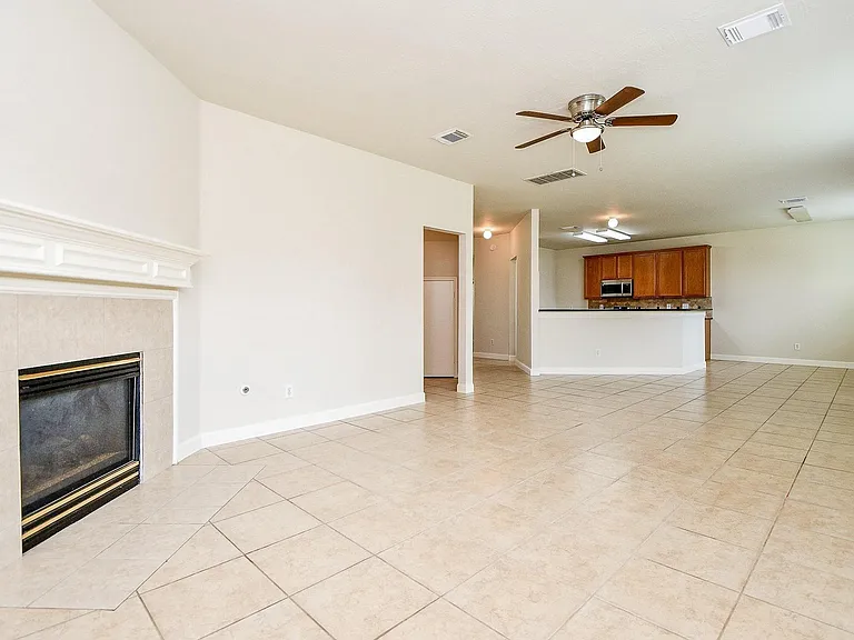 2707 Silk Tree Ln — Photo 5
