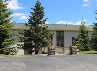 104B Leatherbark, Snowshoe, WV 26209