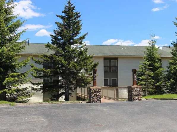 104B Leatherbark, Snowshoe, WV 26209