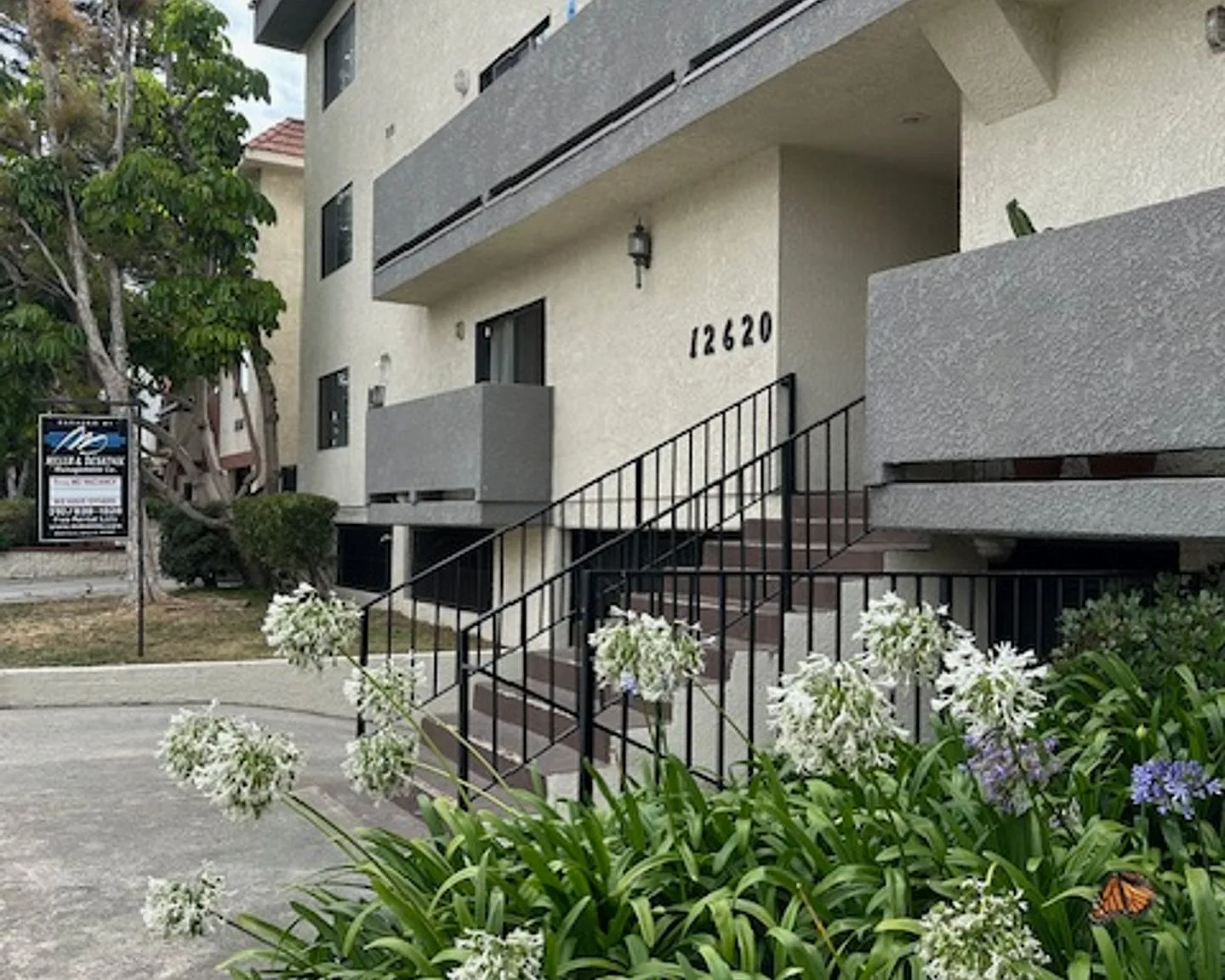m12620 — Photo 1