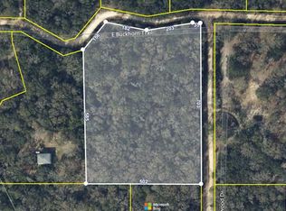 E Buckhorn Trl, Greenville, FL 32331