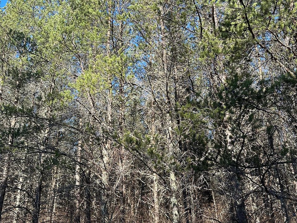 Lower Kaubashine Rd 40947, Hazelhurst, WI 54531 MLS 206472 Zillow