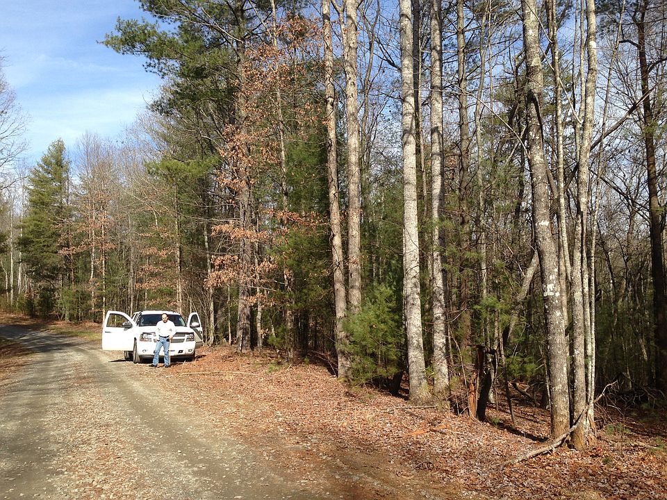 2nd image of Lot # 3 Indian Forrest