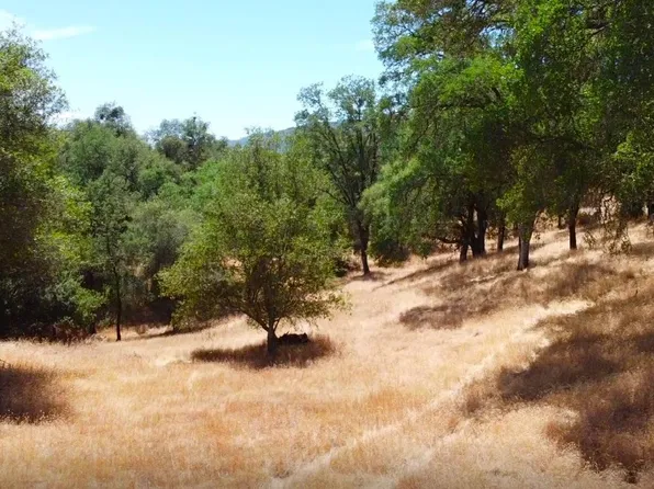 90 Union Mine Rd, El Dorado, CA 95623