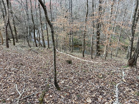 3rd image of Highway 48