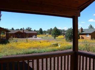 1629 Reed Ln, Lakeside, AZ 85929