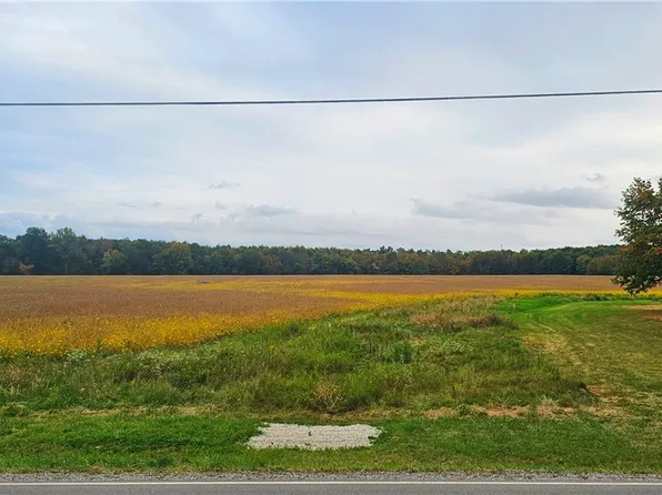 6154 Spieth Rd, Medina, OH 44256