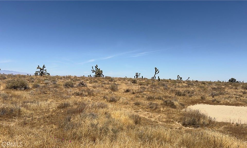 2nd image of 1510 E Avenue M Lot 36