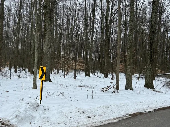 2864 Moore Rd, Bethel, OH 45106