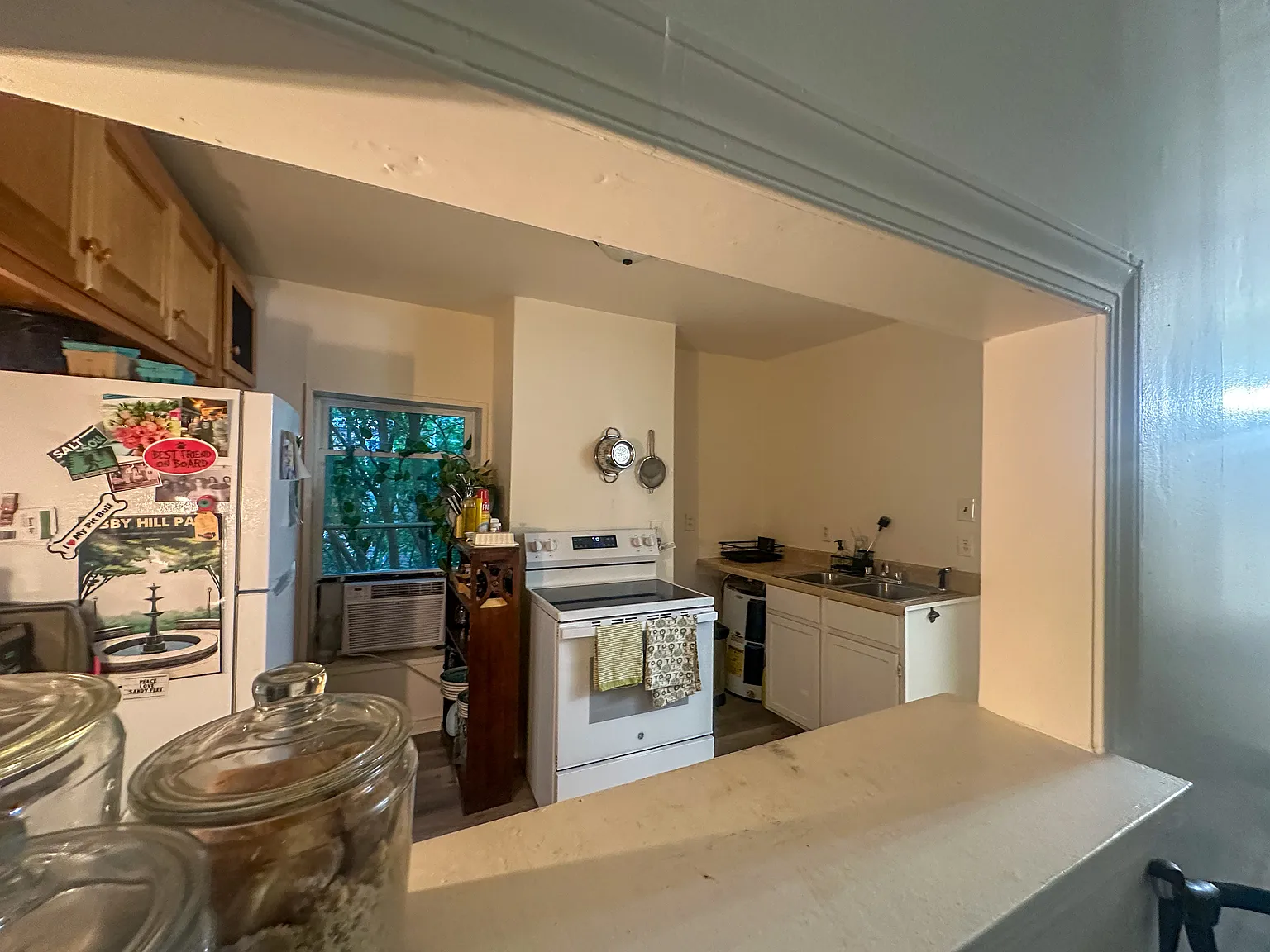 1 bed, 660 sqft, $950 — Photo 3