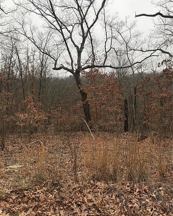 2nd image of Buckland Ln