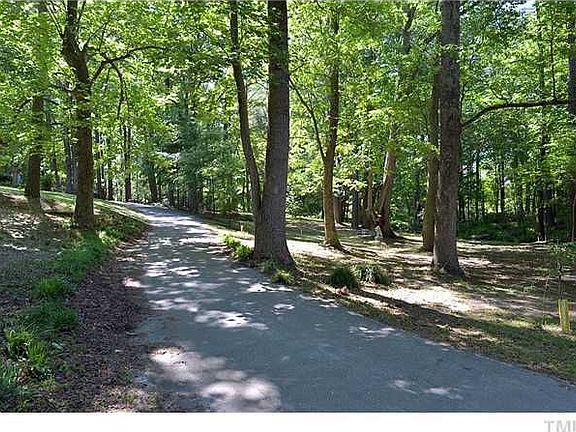 Tree line Driveway