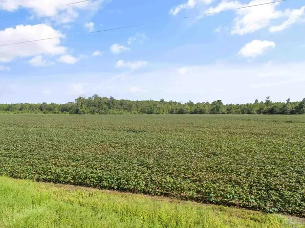 PARCEL 3 Mineral Springs Rd, Jay, FL 32565