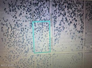 4320 Garibaldi Rd, Snowflake, AZ 85937