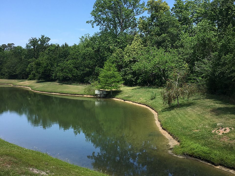 Your backyard view!