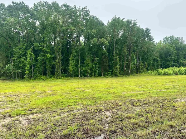 0 Ward School Rd #3, Centreville, AL 35042
