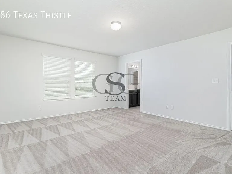 186 Texas Thistle — Photo 14