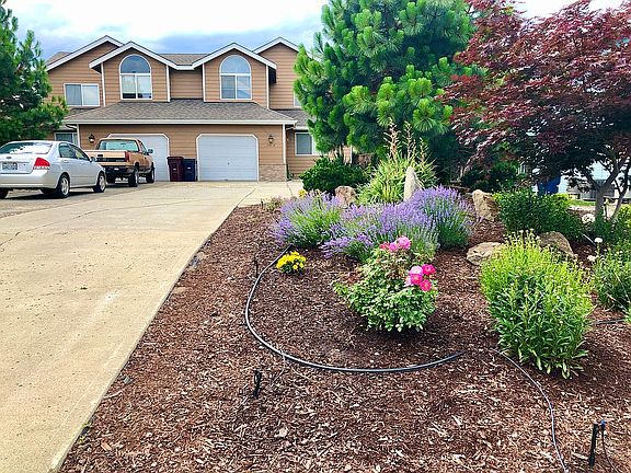 Front Garden w/ Driveway