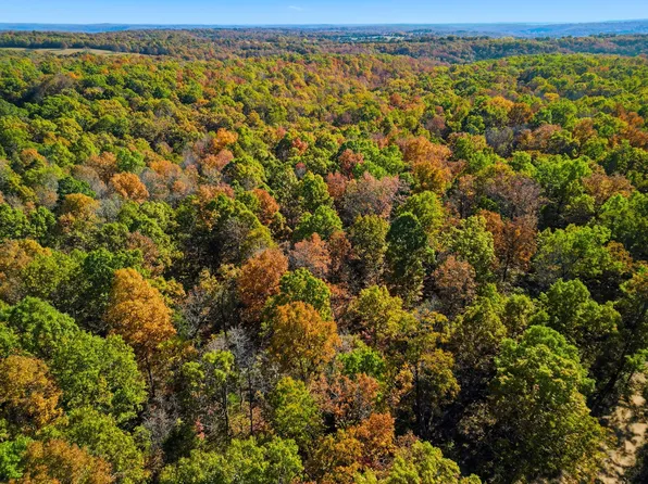 000 County Road 517 #1, Hardenville, MO 65666