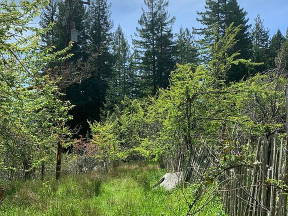 4th image of 23501 Branscomb Rd