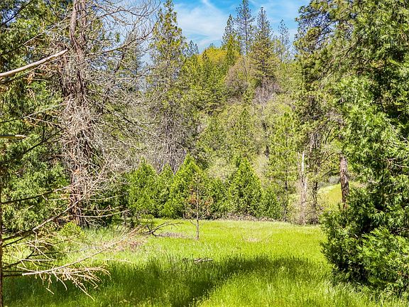 5th image of 7698 Swiss Ranch Rd