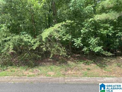 8 Heritage Dr, Springville, AL, 35146