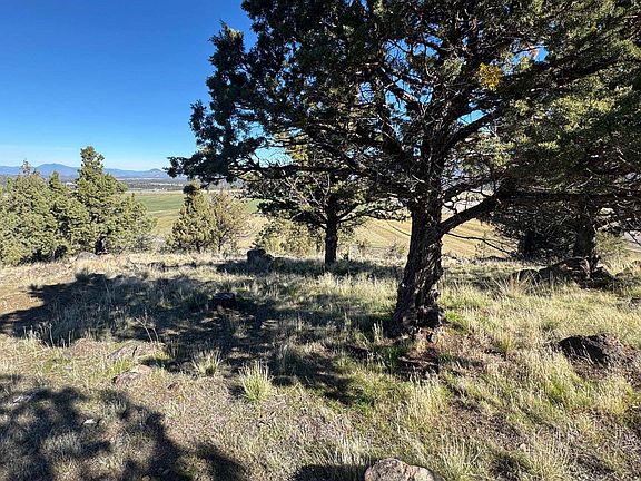 4th image of Juniper Peak Rd Unit 3