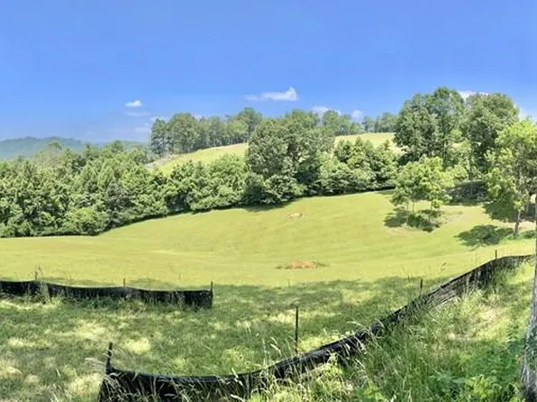 21 Lake Mist Trl, Butler, TN 37640