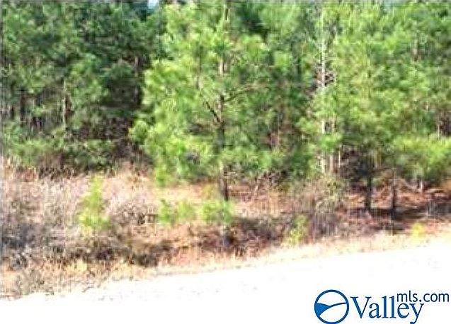 2nd image of 10 Maple Dr