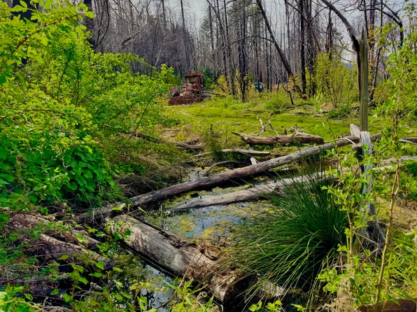 0 Hayfork Summit Rd, Hayfork, CA 96041
